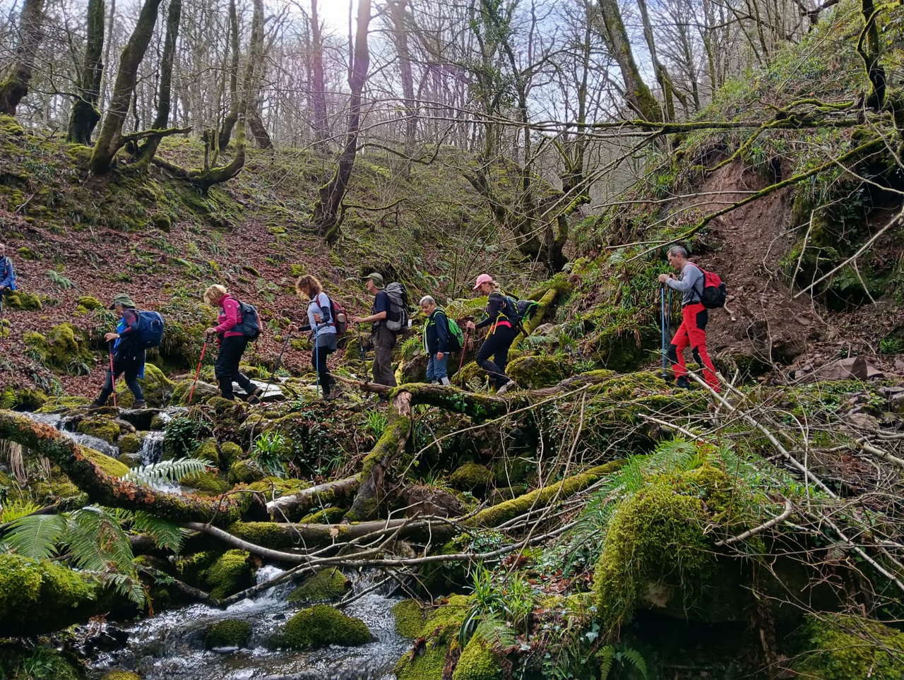 WhatsApp Image 2026-03-08 at 19.34.44